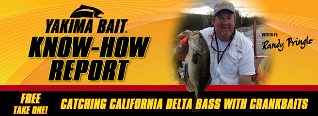 Know-How Reports: Catching California Delta Bass with Crankbaits