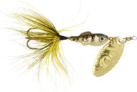 Rooster Tail  Minnow