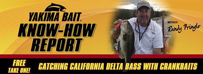 Yakima Baits Know-How Report: Catching California Deleta Bass with Crankbaits