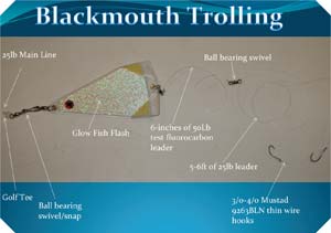 Blackmouth Trolling Rig