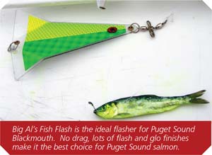 Big Al's Fish Flash