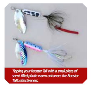 Fishing Rooster Tail Spinners - Yakima Bait