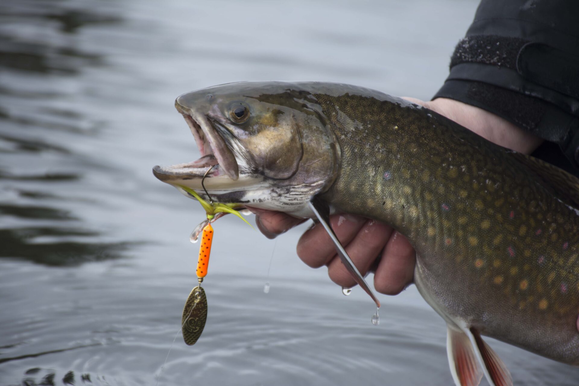 Rooster Tail Spinners (Choose color and size) Trout Bass Salmon Pike Musky