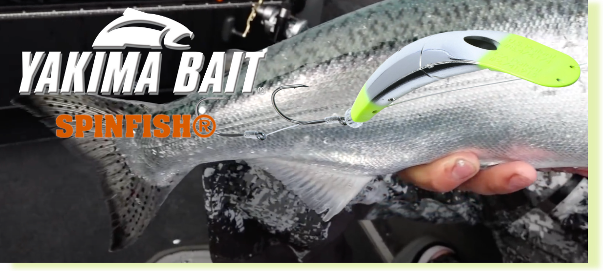 Yakima Bait Blog - Yakima Bait